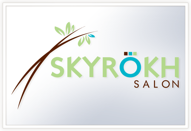 skyrohk-logo